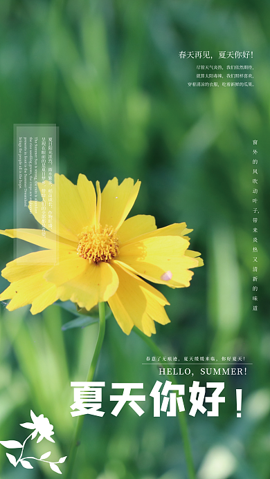 你好夏天花朵简约海报
