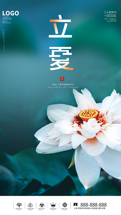立夏节气荷花小清新海报