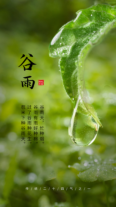 清新谷雨绿色树叶露珠手机海报