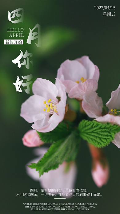 4月你好简约小清新春天桃花日签手机海报