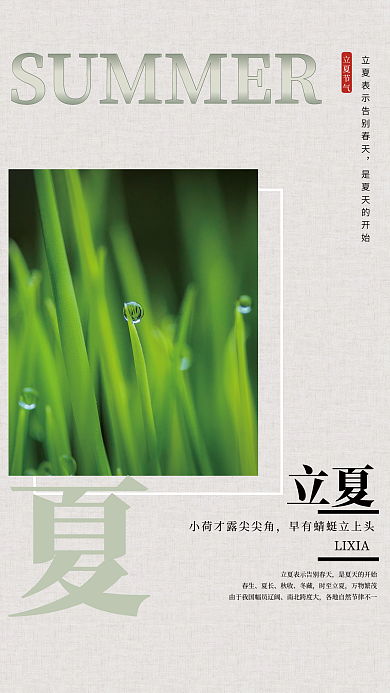 二十四节气立夏简约海报