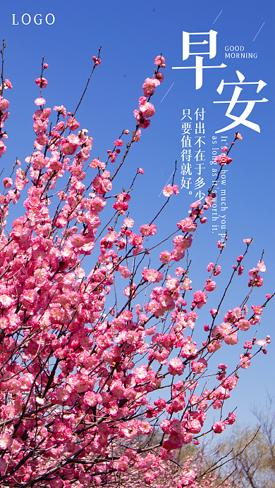 简约正能量励志春天樱花日签朋友圈早安海报