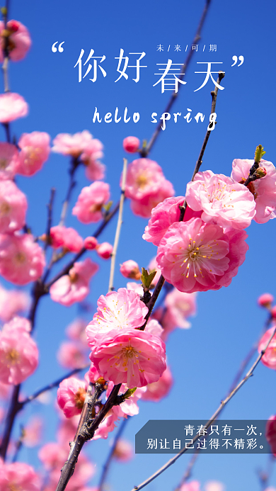 简约小清新正能量日签朋友圈早安春天海报