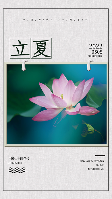 二十四节气立夏荷花日历简约海报