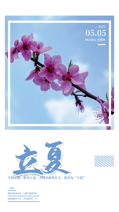 二十四节气立夏蓝天花枝简约海报