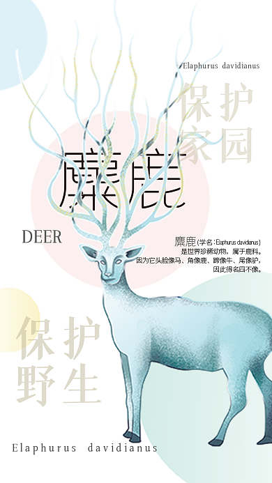 简约保护野生动物保护之麋鹿海报