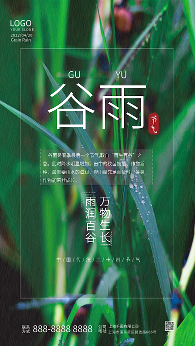 简约大气传统二十四节气谷雨海报