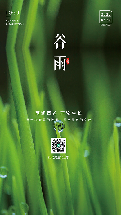 简约大气谷雨二十四节气摄影海报