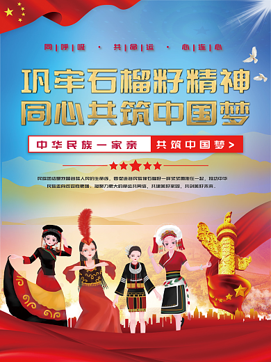 民族团结石榴籽精神党建海报