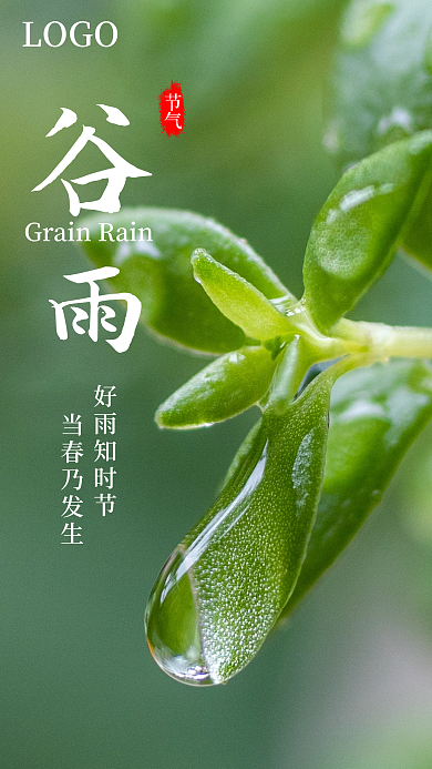 绿色简约谷雨二十四节气手机海报
