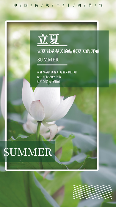 二十四节气立夏荷花简约海报