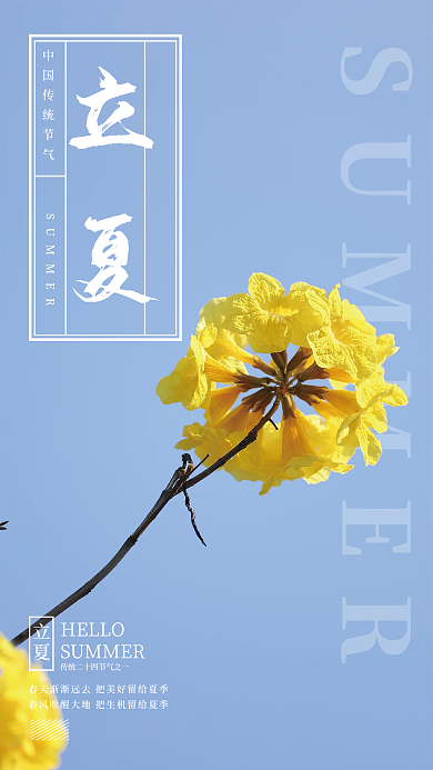 二十四节气立夏蓝天菊花简约海报