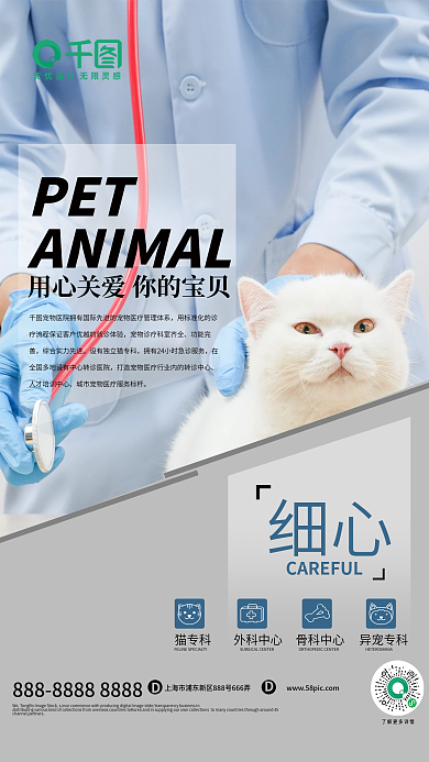 宠物医院宣传海报