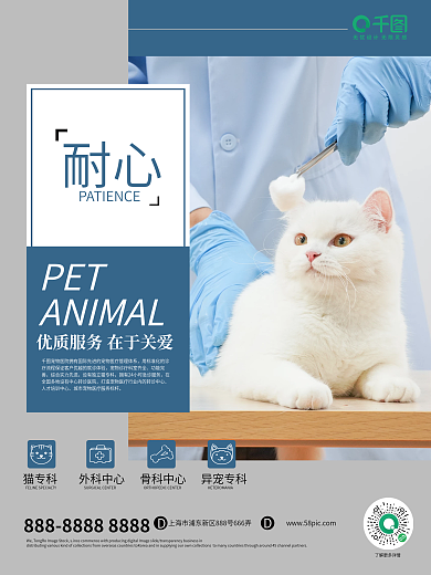 宠物医院宣传海报