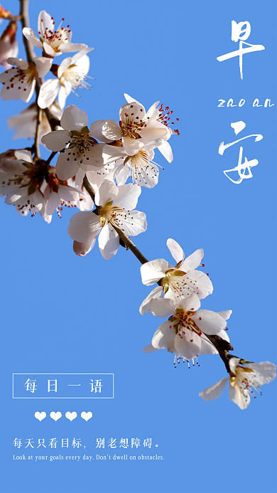 小清新文艺樱花早安海报朋友圈心语日签海报