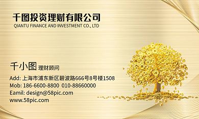 投资理财顾问销售名片