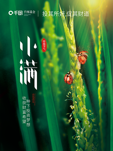 金融理财基金理财宣传小满节气借势海报