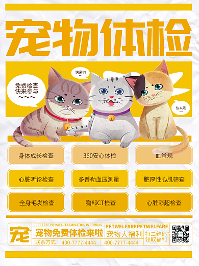 宠物体检促销套餐海报