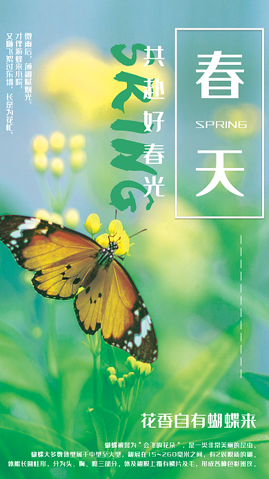蝴蝶春天油菜花海报