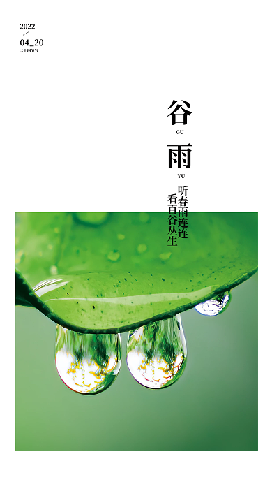 谷雨二十四节气简约小清新雨滴雨水节日海报