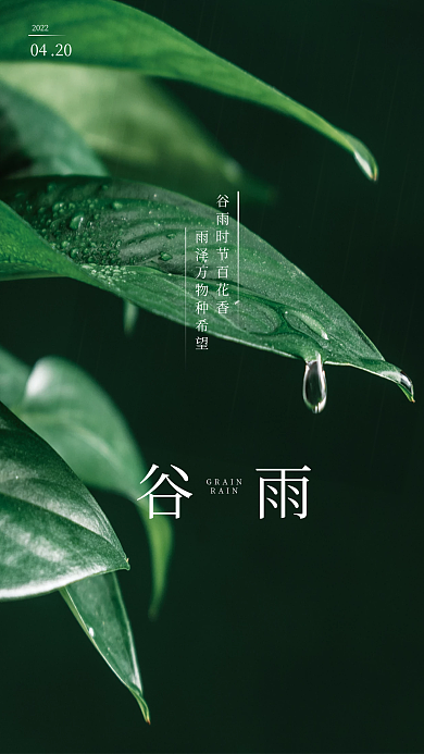简约小清新谷雨二十四节气海报