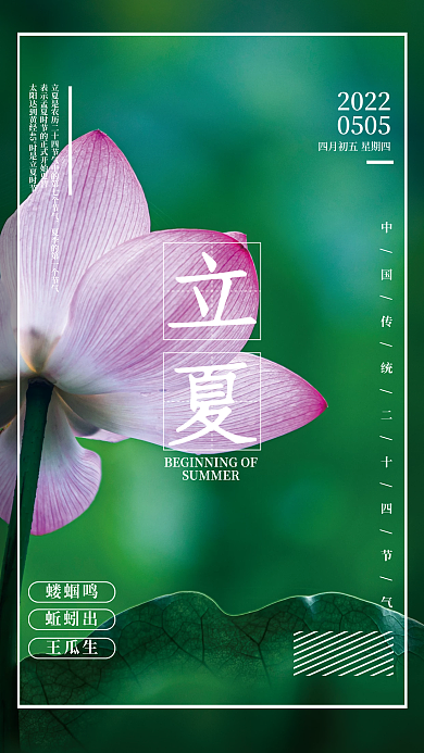 二十四节气暗色荷花荷叶简约海报