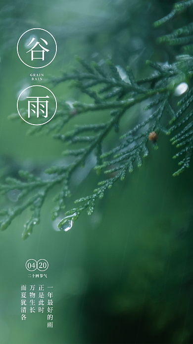 谷雨二十四节气简约小清新雨滴海报