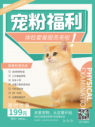 简约创意宠物体检促销套餐海报