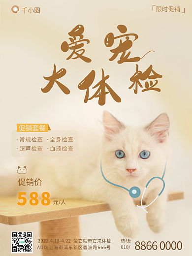 宠物体检促销套餐海报