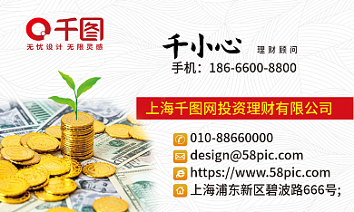 简约大气金融投资理财销售顾问经理商务名片