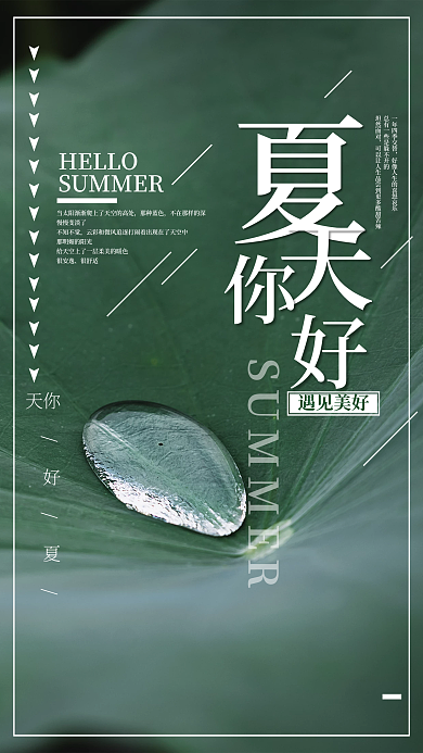 夏天你好荷叶露水简约海报