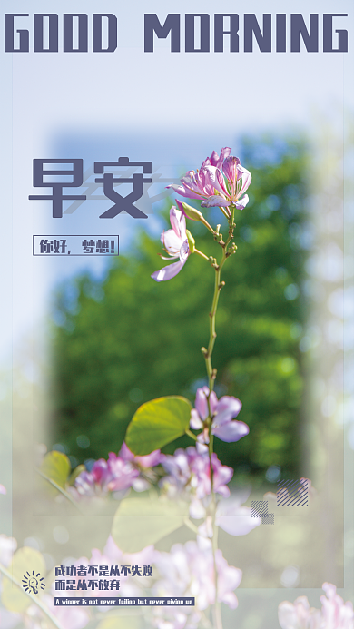 早安你好梦想正能量励志心语花摄影海报