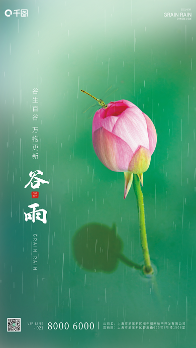 谷雨传统节气海报