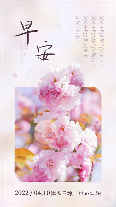 粉色樱花早安问候手机海报