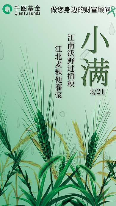 理财宣传小满节气借势海报