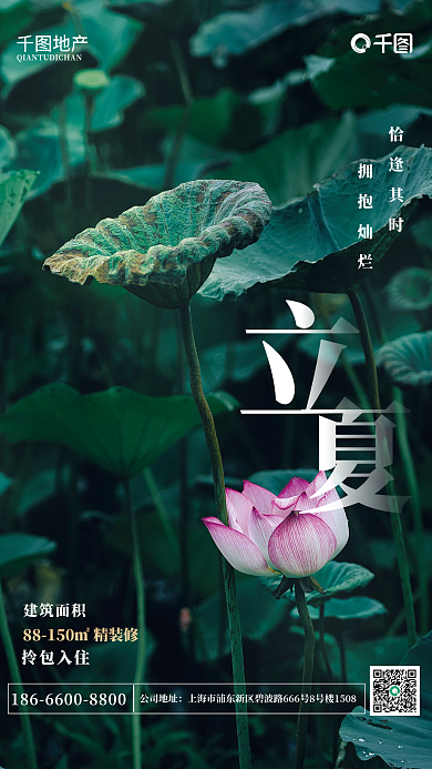 二十四节气立夏地产海报小清新绿色荷花荷叶