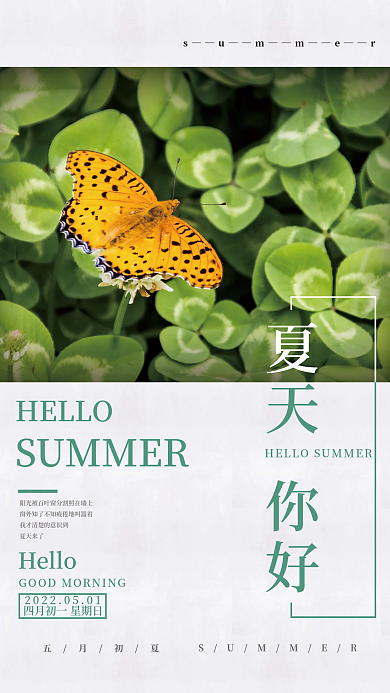 夏天你好花丛蝴蝶简约海报
