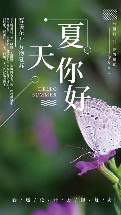 夏天你好花朵蝴蝶简约海报