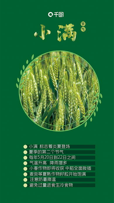 小满传统二十四节气绿色麦穗海报