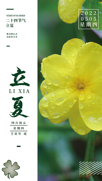 二十四节气黄花绿叶简约海报