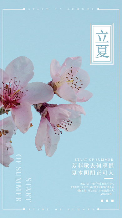 二十四节气桃花蓝天简约海报