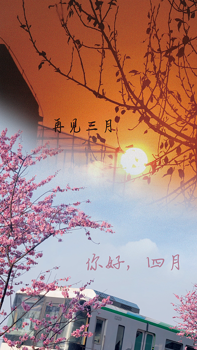 四月樱花烂漫几时多恰是微醺春分日