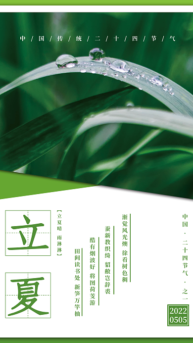 二十四节气青草水滴简约海报