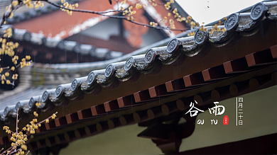 二十四节气谷雨房檐雨滴