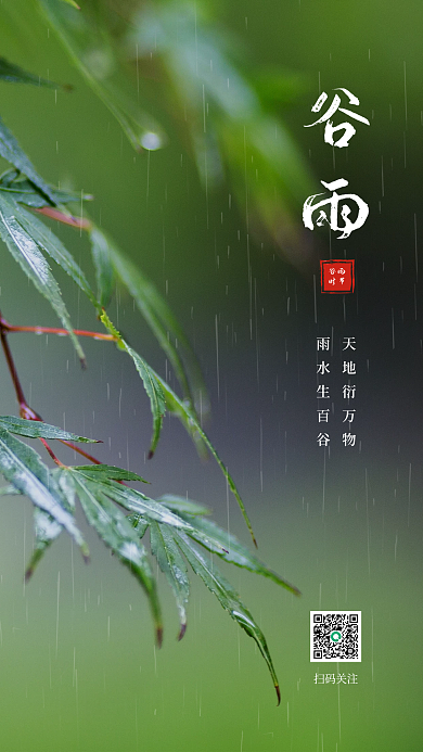 谷雨节气启动页手机海报