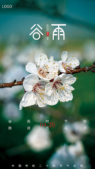 简约小清新二十四节气谷雨摄影图海报