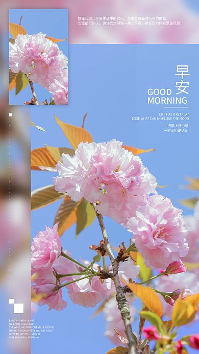花卉小清新简约正能量早安朋友圈海报