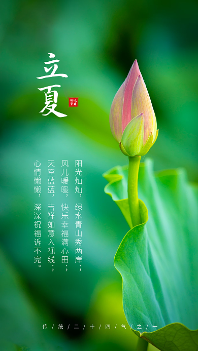 绿色清新夏日含苞荷花立夏手机海报