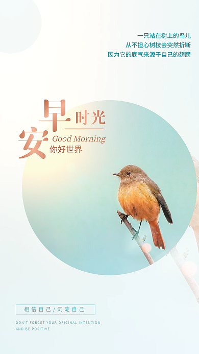 唯美清新小鸟实景正能量日签朋友圈早安海报
