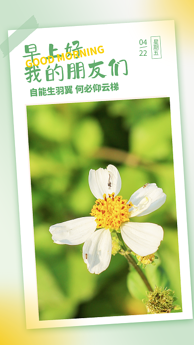 绿色大气简约风早安日签